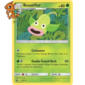 Boustiflor - Tempête Céleste - 002/168