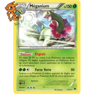 Méganium - Rupture Turbo - 003/122