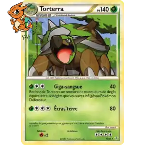 Torterra - Déchaînement - 010/095