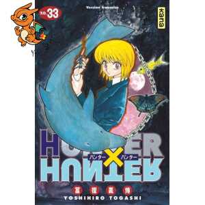 Hunter X Hunter T33
