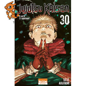Jujutsu Kaisen T30