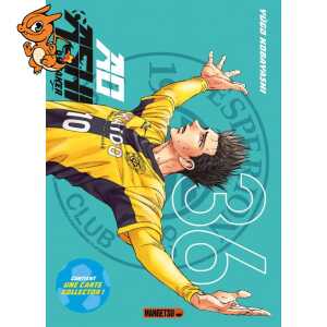 Ao Ashi T36