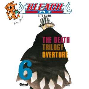 Bleach - Tome 06