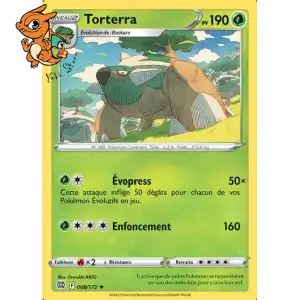 Torterra - Stars Étincelantes - 008/172