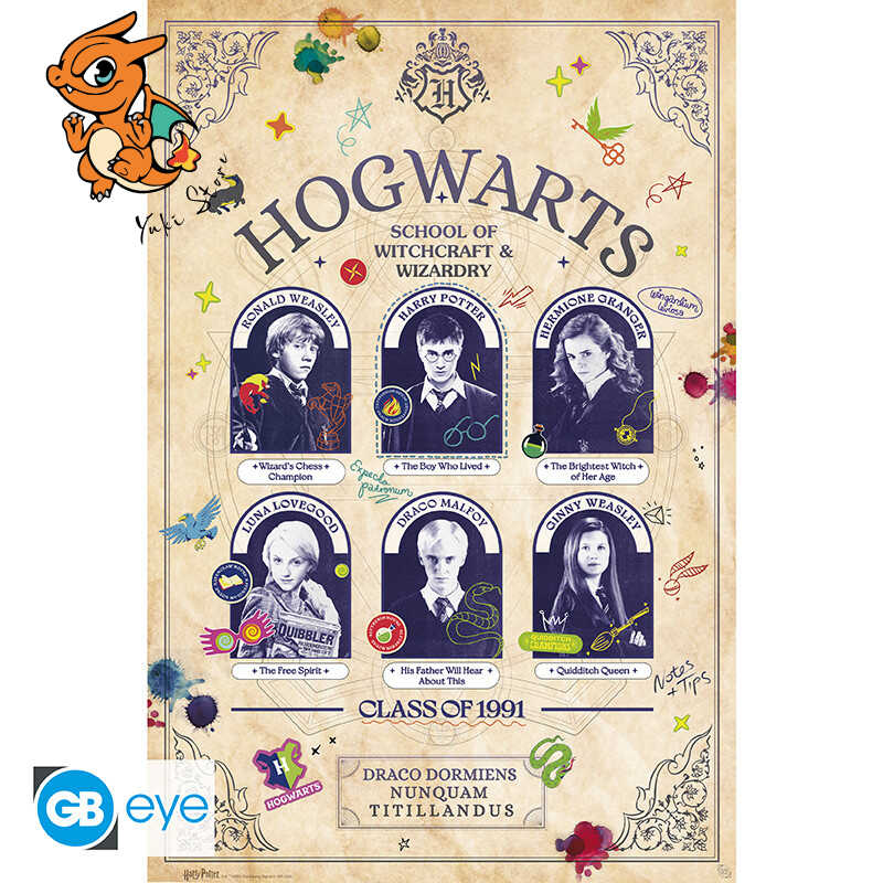 HARRY POTTER - Poster Maxi 91,5x61 FSC MIX - Album Scolaire